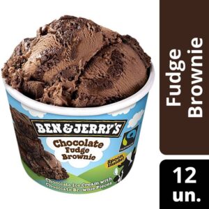 Chocolate Fudge Brownie 100ml | Ben & Jerry’s